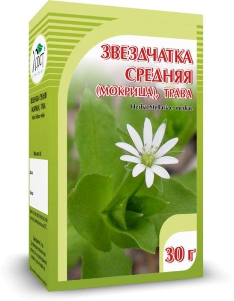 Звездчатка средняя (мокрица) Хорст 30г фотография